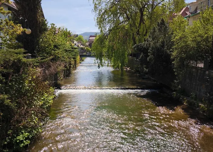Uroczy Przy Deptaku Z Parkingiem. Polanica-Zdrój